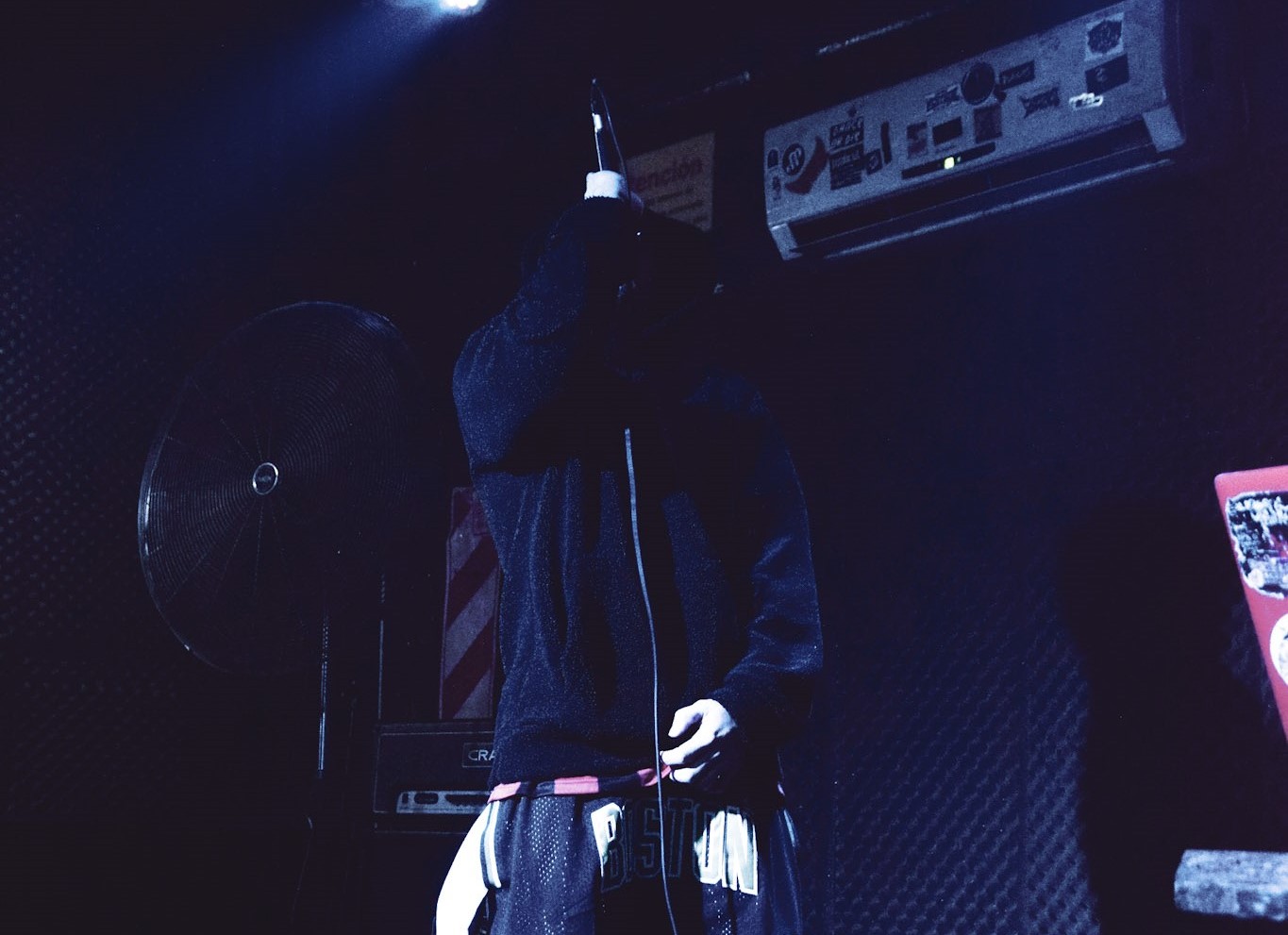 cantando en vivo durante un show